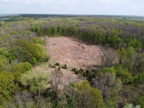 Lexington Land Clearing