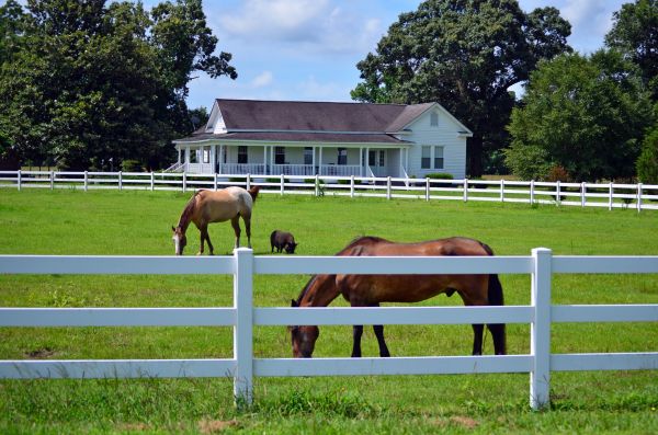 Lexington Fence Service